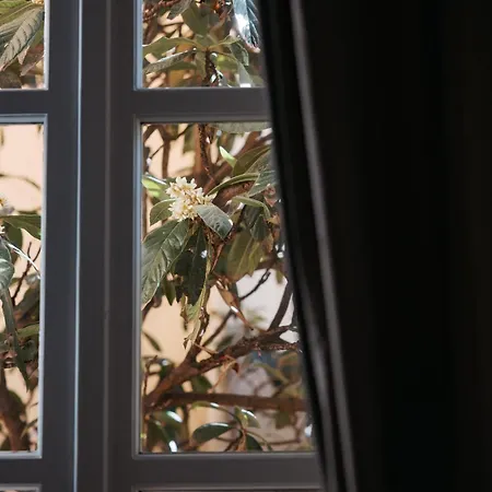 Carlo Alberto Charm & Terrace - Free Parking * Torino