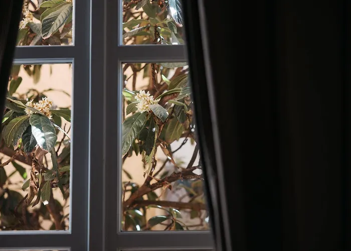 Carlo Alberto Charm & Terrace - Free Parking * טורינו